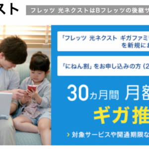 フレッツ光ネクストって
