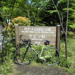 ヤビツ2本=富士ヒルクライム