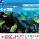 しながわ水族館でドルフィン・スプラッシュタイムとサンセットアクアリウム！