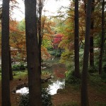 いよいよラストスパートだ　2009年も12月