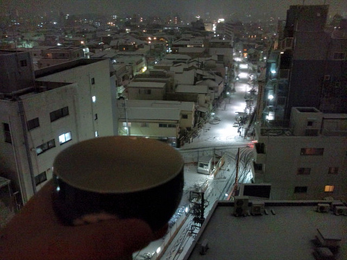 雪が降った2010