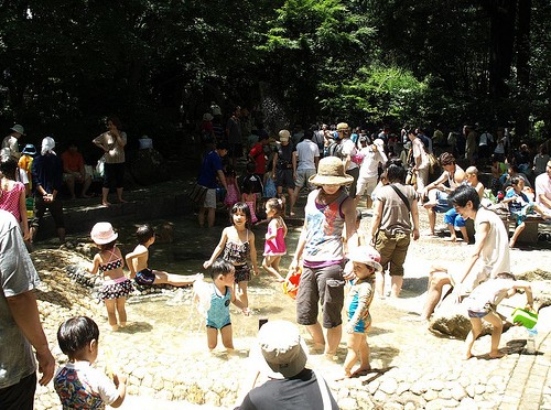 林試の森公園　じゃぶじゃぶ池オープン！