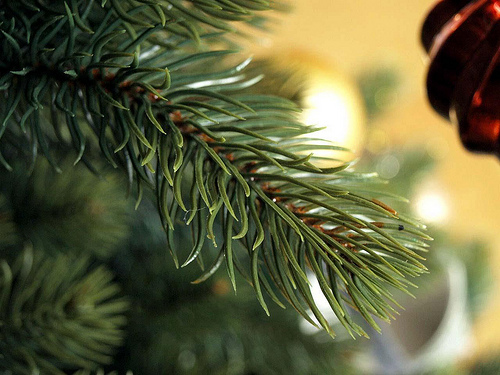 PLASTIFLORのクリスマスツリー導入!