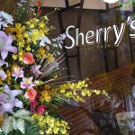 Sherry's Burger Cafe 武蔵小山