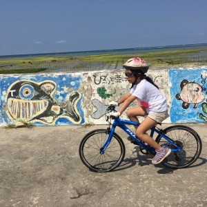 サイクリング 読谷村〜恩納村真栄田