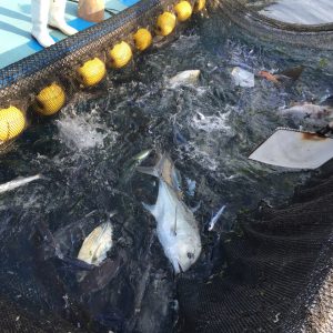 親の来沖2泊3日