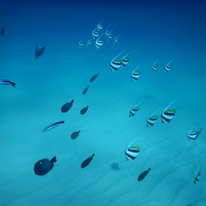 冬の沖縄の海日和