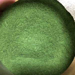 自家製モリンガ茶を作ってみた