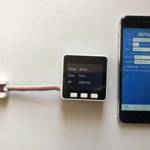 M5GO IoT Starter Kitを触ってみた